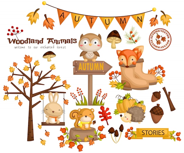 Autumn Woodland Animal