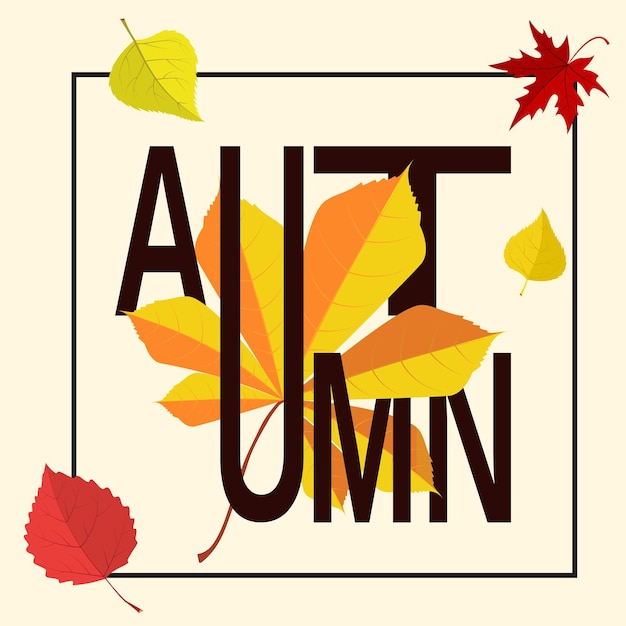 Autumn word in frame