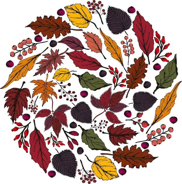 Autumn Wreath and frames vector illustration. Fall leaves.