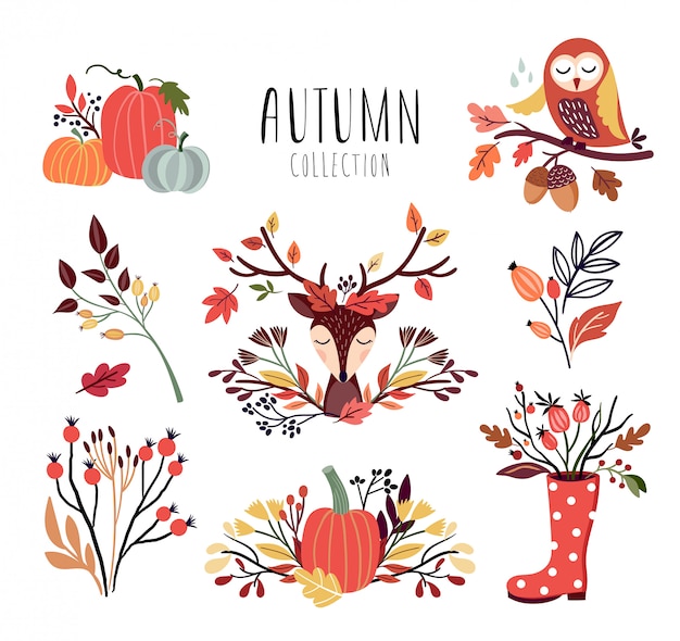 Autumnal arrangements collection with seasonal bouquets and animals