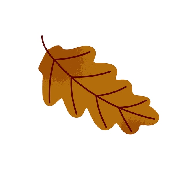 Vector autumnal leaf of oak in hand drawn style fallen tree foliage dry autumn leafage natural element of decoration icon of nature in fall season flat isolated vector illustration on white background