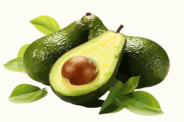 Avocado Avocado isolated on white background Avocado macro With clipping path