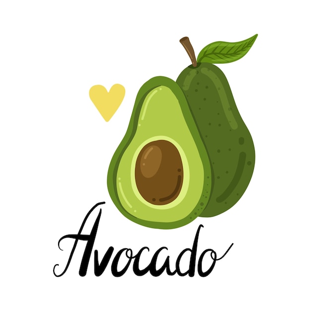 Avocado Hand drawn flat illustration