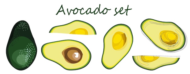 Avocado icons set Bright green whole fruit or vegetables half slices Vector flat illustration