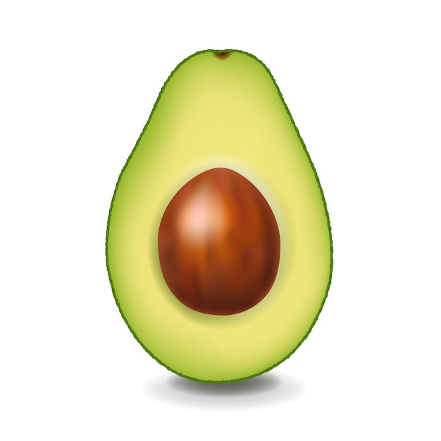 Avocado Isolated