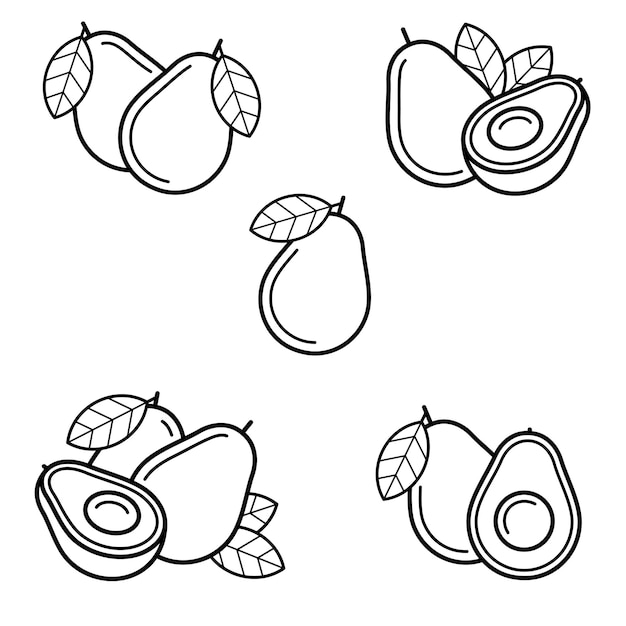 Avocado set Collection icons avocado Vector