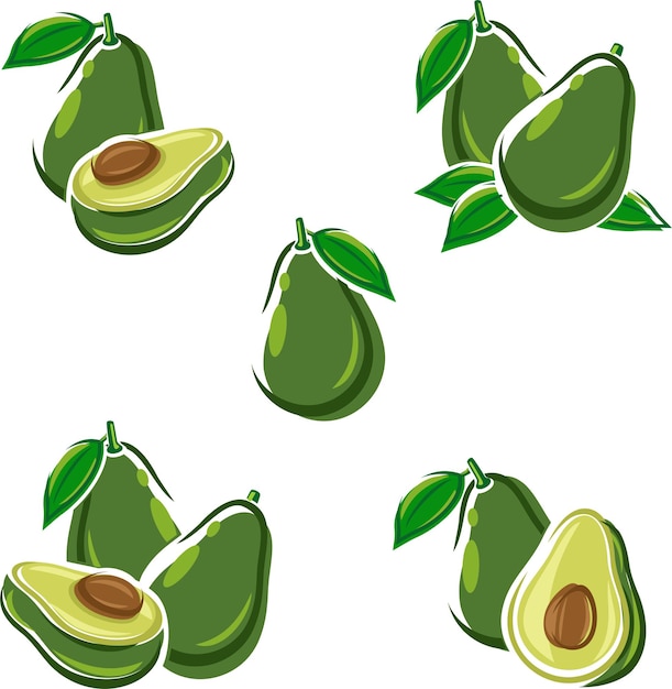 Avocado set Vector