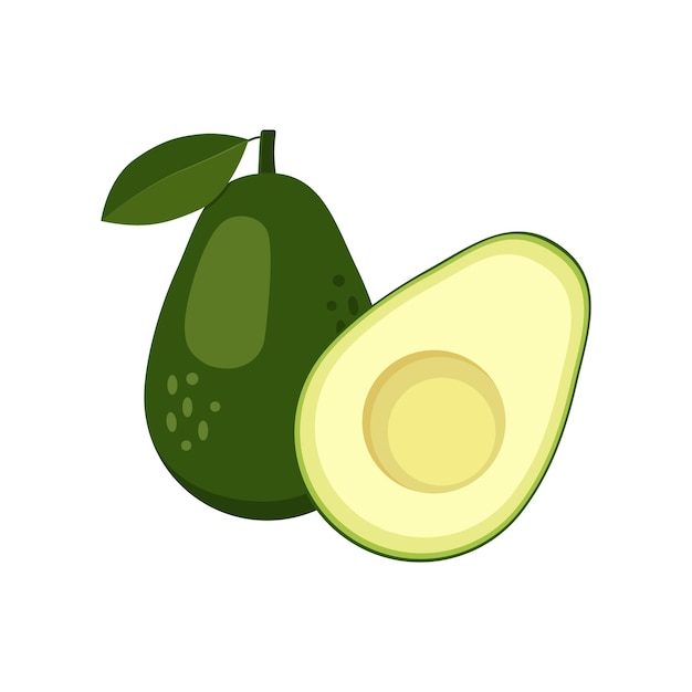 Avocado set whole halved tropical fruit Vegan healthy nutritious food in flat detailed vector style