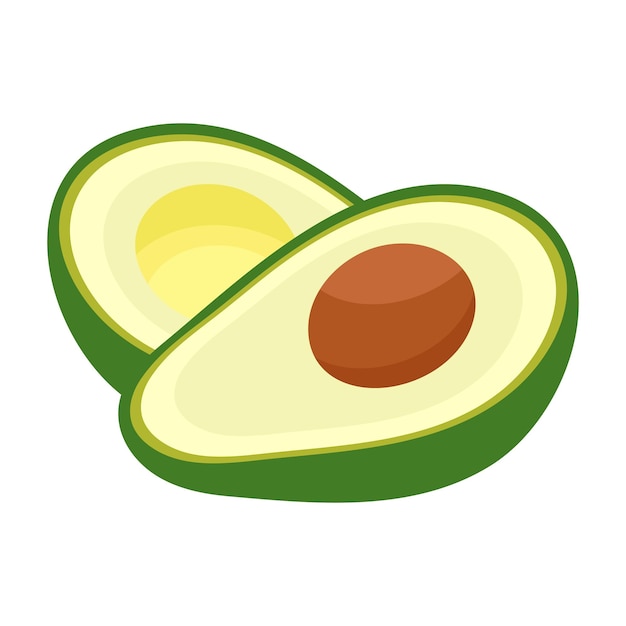 Avocado Vector