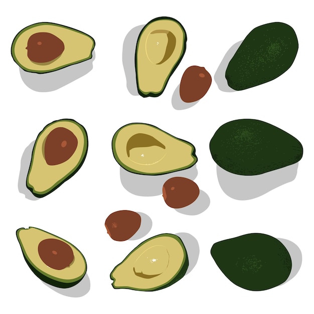 Avocado whole and half cartoon set isolated on a white background.