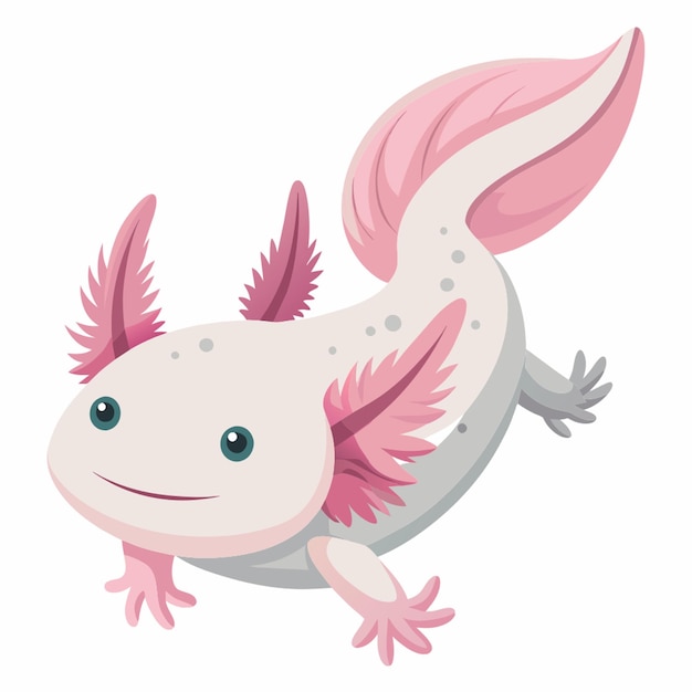 Vector axolotl flat illustration white background vector illustration