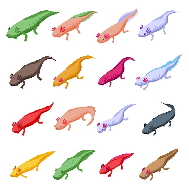 Axolotl icons set.