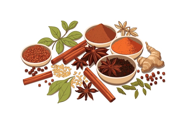 Ayurvedic Spices Assortment for Health isolated vector style on isolated background illustration