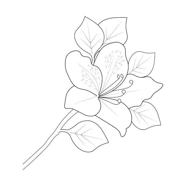 Azalea flowers coloring page