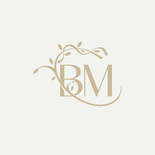 B M BM Beauty vector initial logo handwriting logo of initial signature wedding fashion jewerly