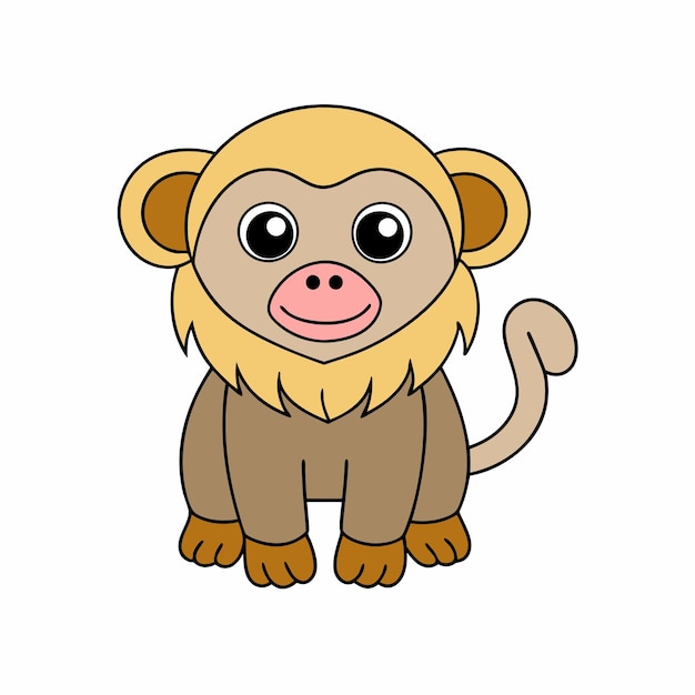 baboon vector and illustration in white background