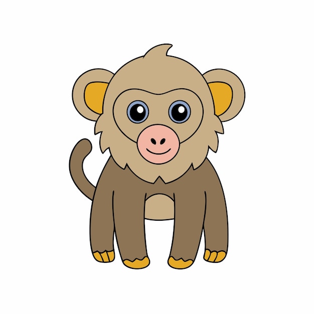 baboon vector and illustration in white background