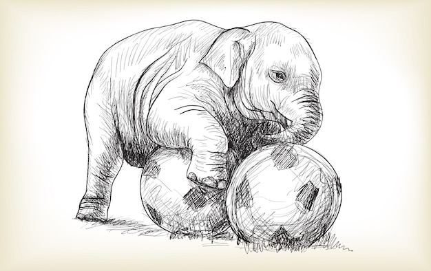 Baby elephant playing football sketch and free hand draw illustration vector