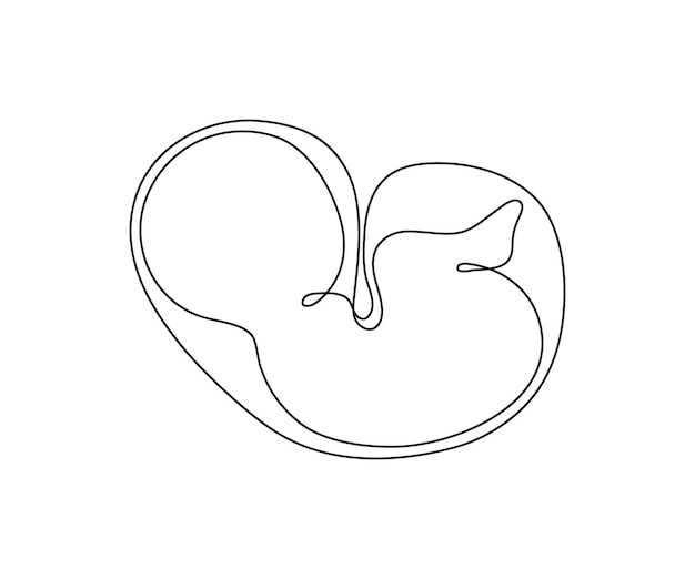 Baby embryo in womb one art line continuous drawing Silhouette unborn fetus child on mother womb