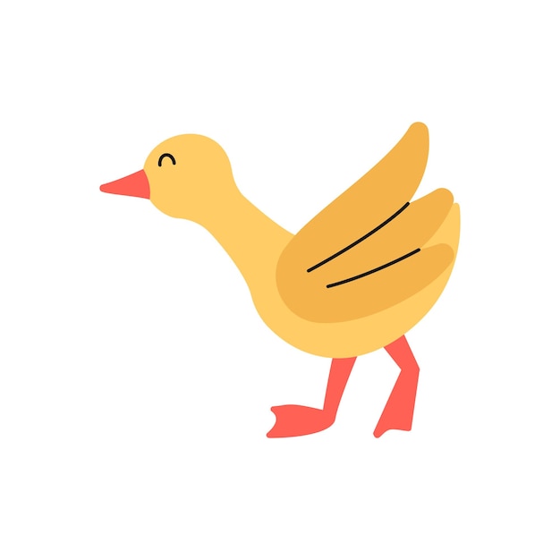 Baby Goose Illustration