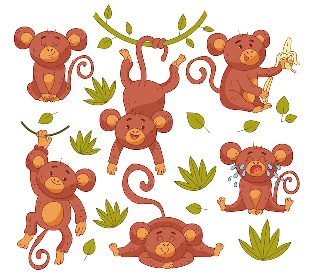 baby monkey child character in different position isolated set