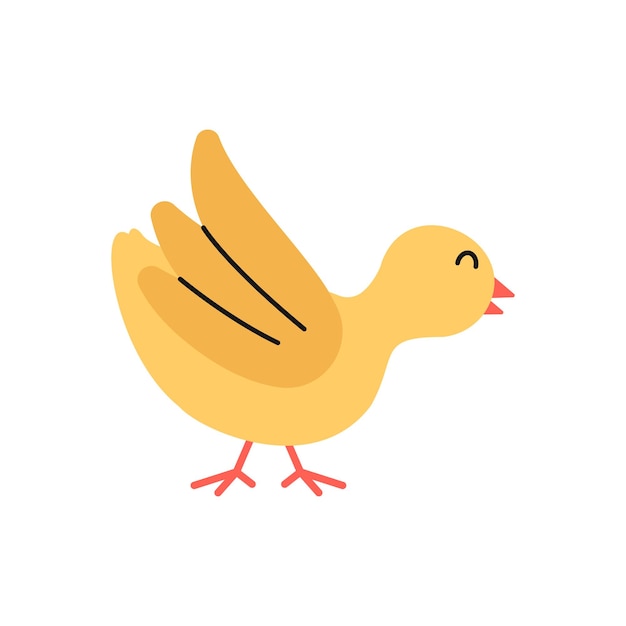 Baby Turkey Illustration