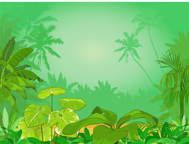 Background of green tropical rainforest. Jungle with tropical plants and flowers.  Illustration