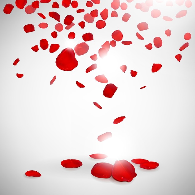 Vector background of red rose petals