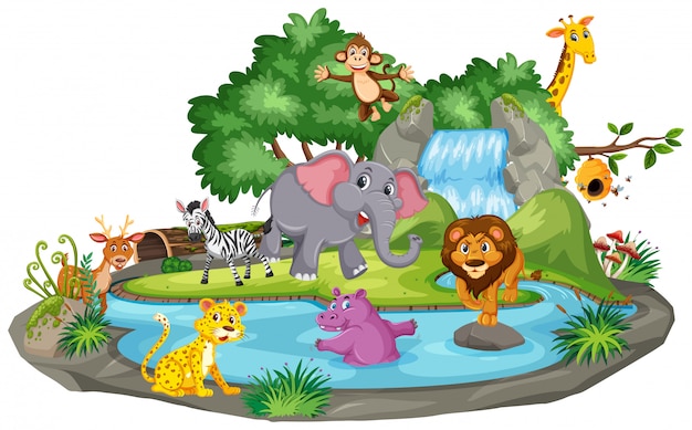 Background scene of many animals at the waterfall