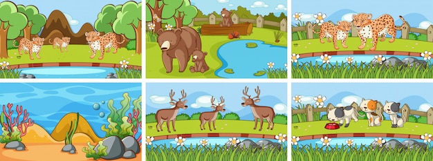 Background scenes of animals in the wild