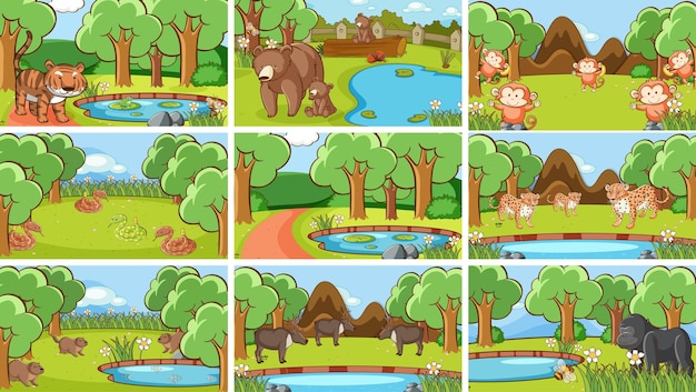 Background scenes of animals in the wild