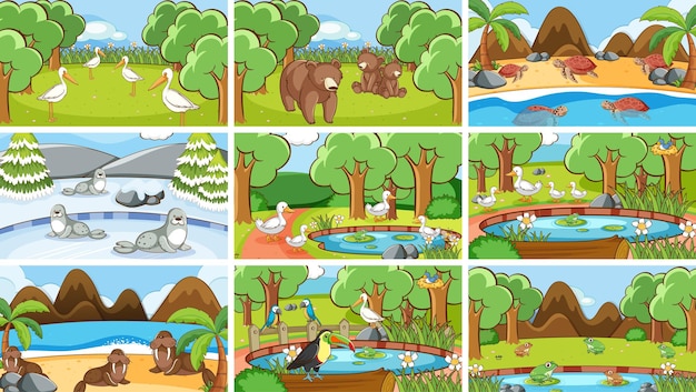 Background scenes of animals in the wild