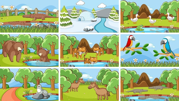 Background scenes of animals in the wild