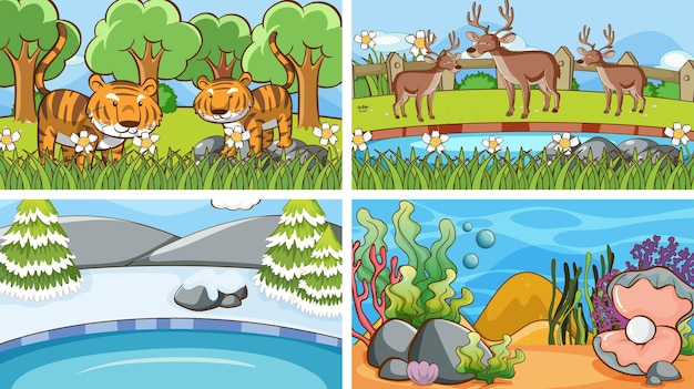 Background scenes of animals in the wild