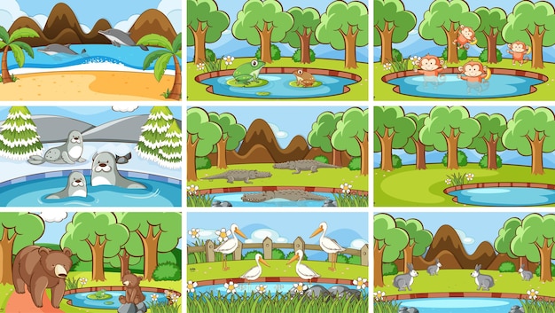 Background scenes of animals in the wild