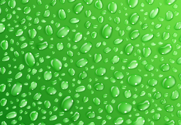 Background of water droplets on the surface in green colors