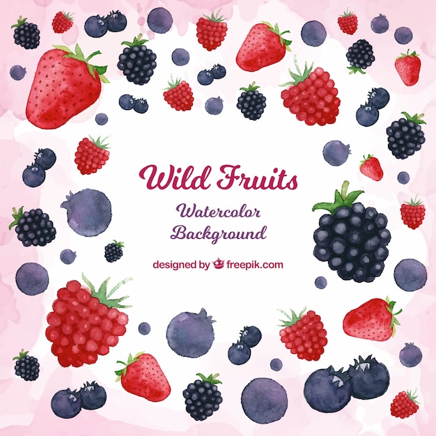 Background of wild fruits in watercolour