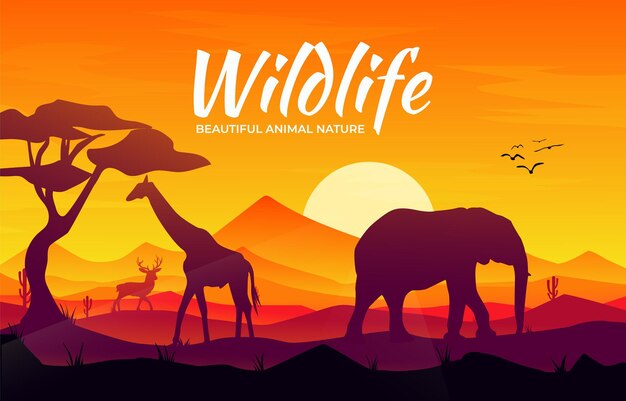 Background Wild Life Beautiful Nature Desert Camel