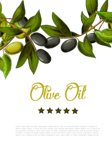 background with border of black and green olives.