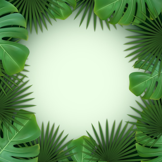 Background with frame of green tropical leaves of palm and monstera.