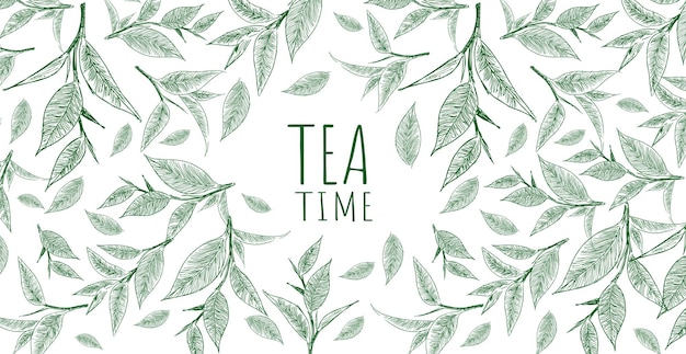 Background with green tea Hand drawn