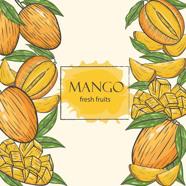 Background with mango vector illustration