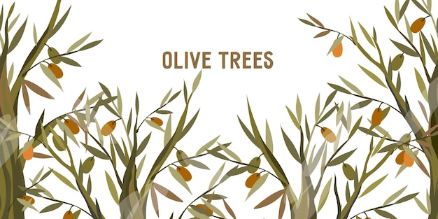 Background with olive trees flat vector illustration