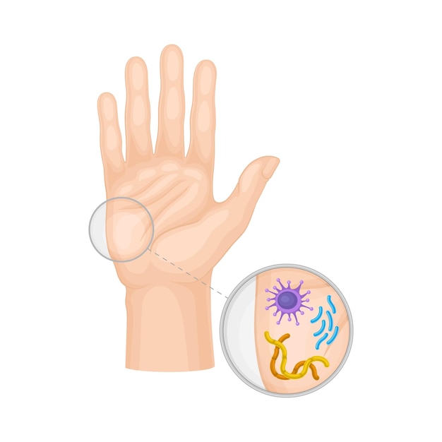 Bacteria and microbes examining under magnifying glass on hand vector illustration