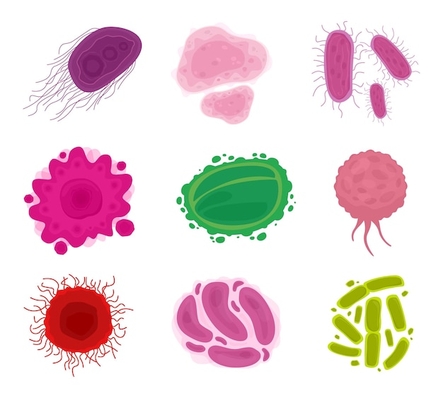 Vector bacteria and virus cells isolated on white background microorganisms pandemic viruses fungi