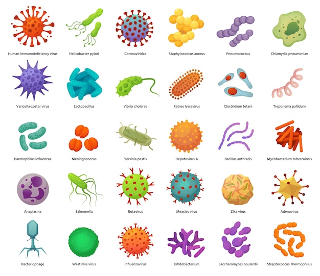 Bacteria and virus icons. Disease-causing bacterias, viruses and microbes.