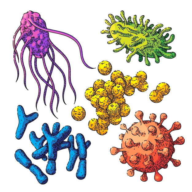 Bacteria virus set sketch hand drawn vector