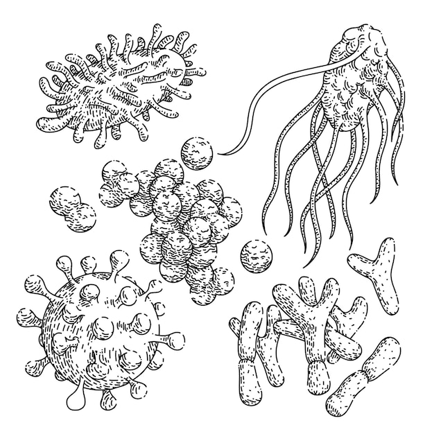 Bacteria virus set sketch hand drawn vector