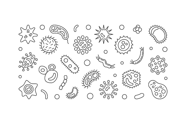 Bacterial cells horizontal banner Vector outline illustration