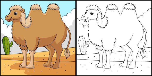 Bactrian Camel Animal Coloring Page Illustration